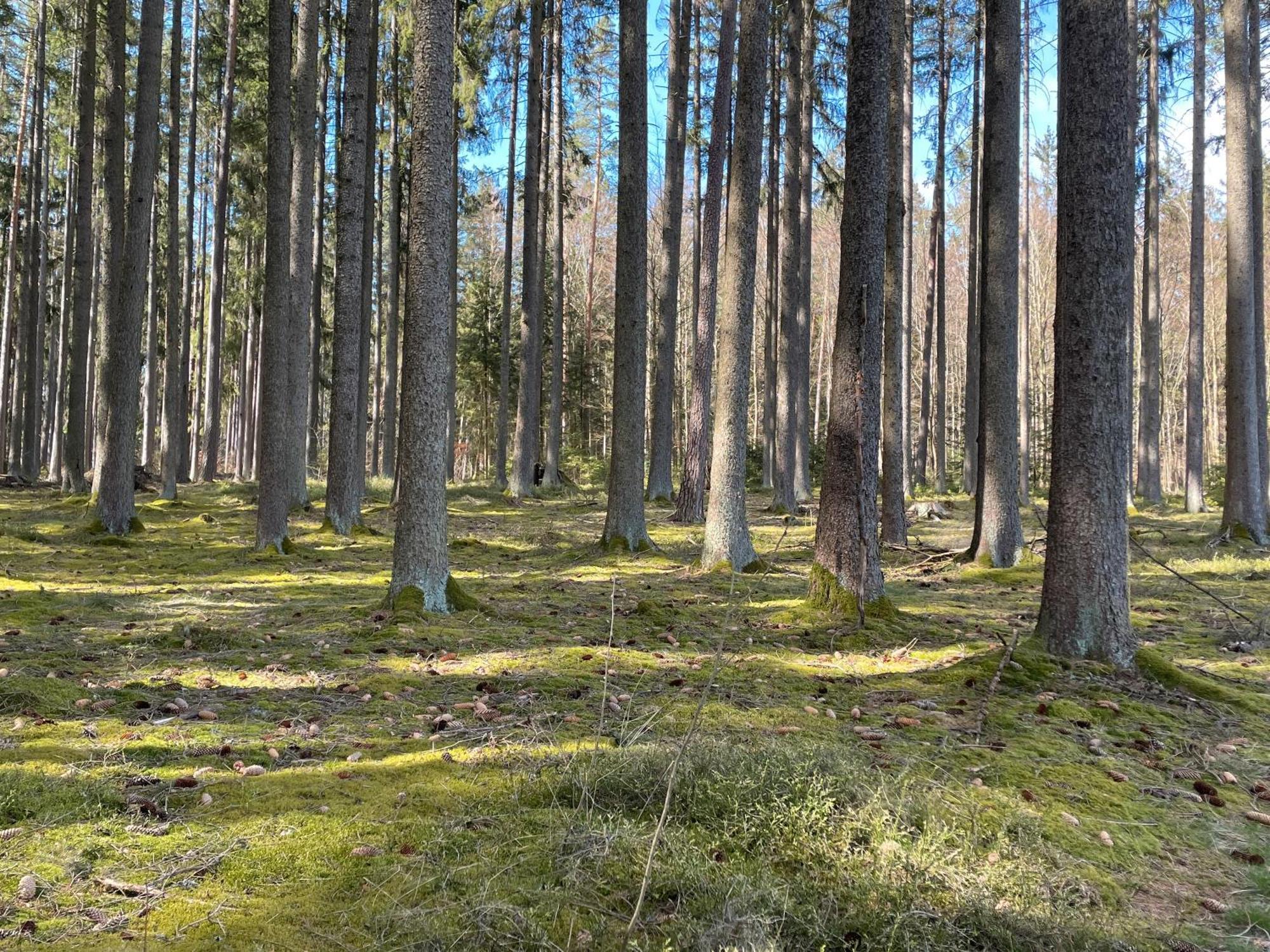 Вилла Tinyhaus Supreme Fuer 1-4 Personen Fuchsmuhl Экстерьер фото